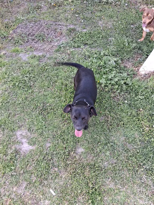 Elks Mobile Home Park Picture 5