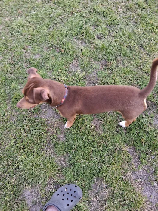 Elks Mobile Home Park Picture 6