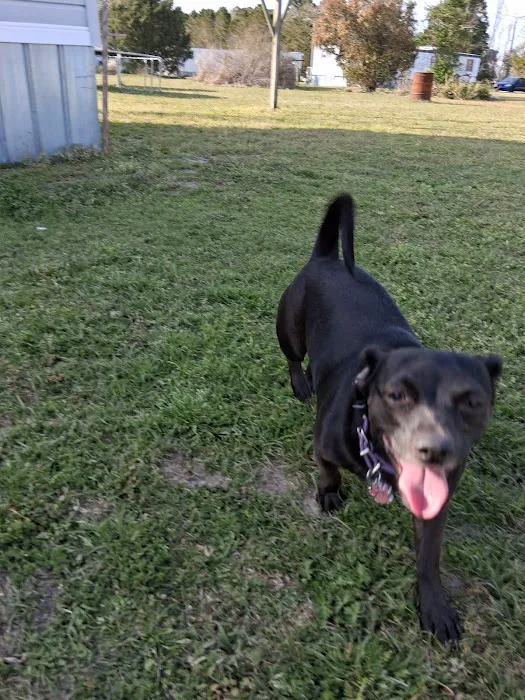 Elks Mobile Home Park Picture 9