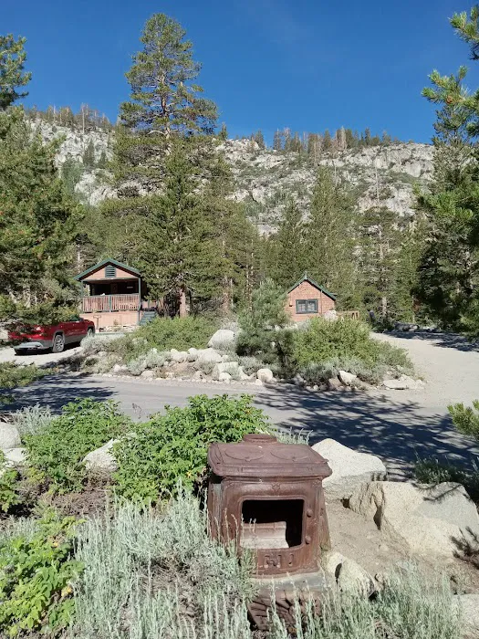 Big Trees Campground Picture 1