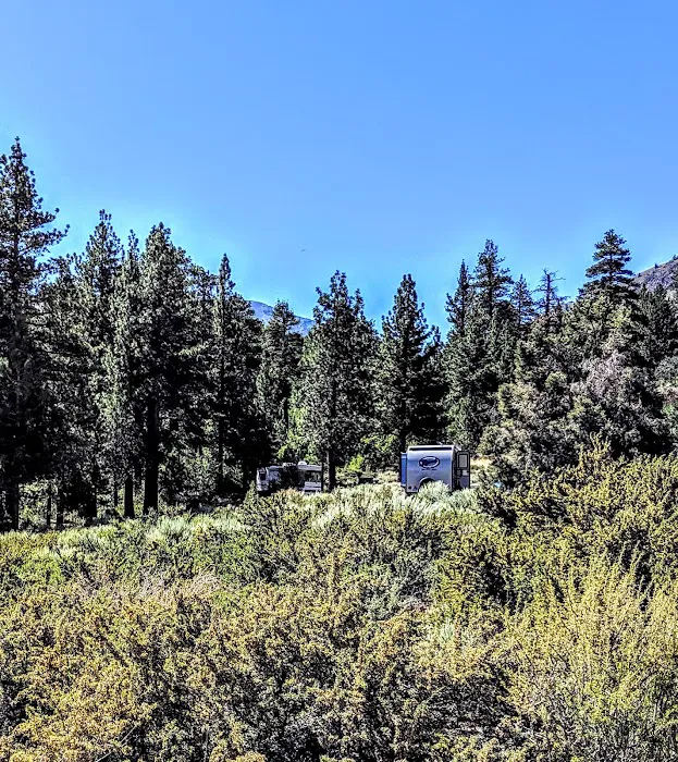 Big Trees Campground Picture 6