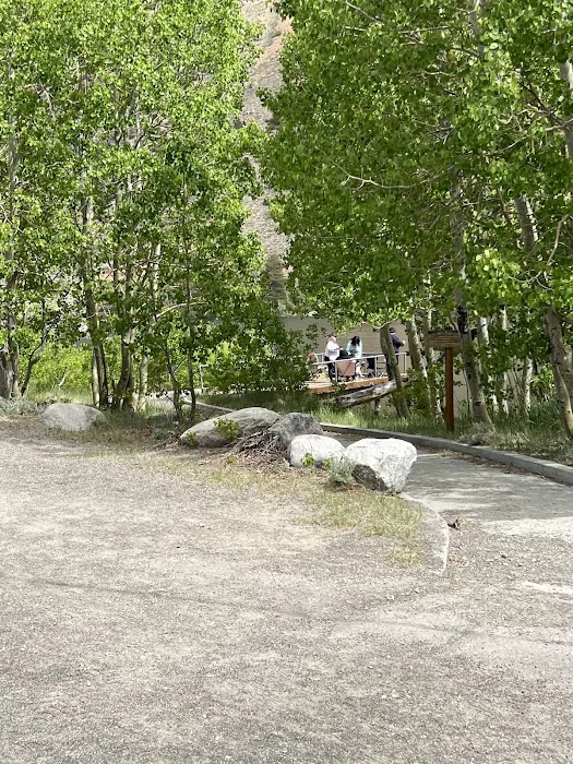 Big Trees Campground Picture 10