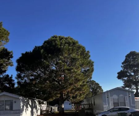 Branches Estates Mobile Home Community