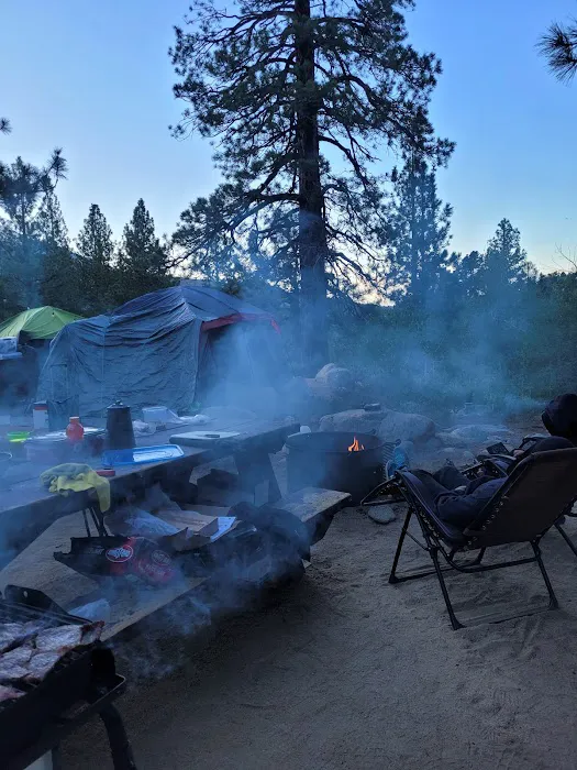 Forks Campground Picture 4