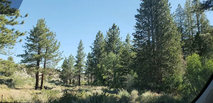 Forks Campground Picture 1
