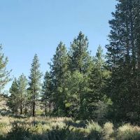 Forks Campground ico