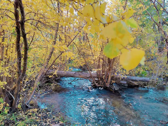 Four Jeffrey Campground Picture 6