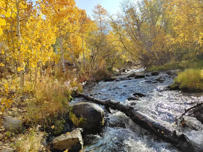 Four Jeffrey Campground Picture 9