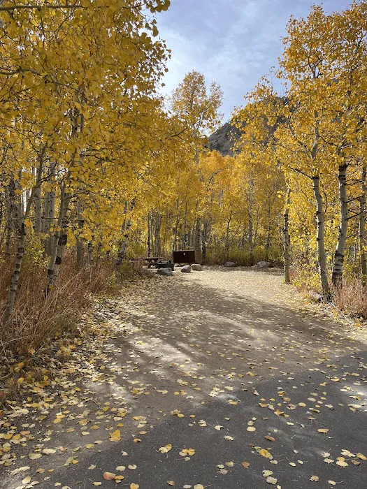 Four Jeffrey Campground Picture 7