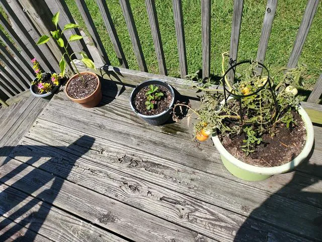 Genesis Mobile Home Community Picture 8