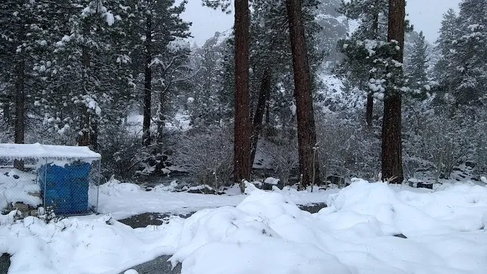 Intake 2 Campground Picture 8