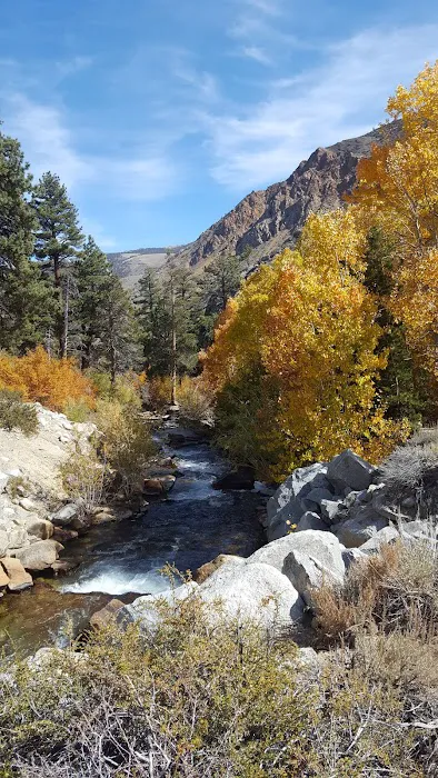 Bishop Park Group Campground Picture 4