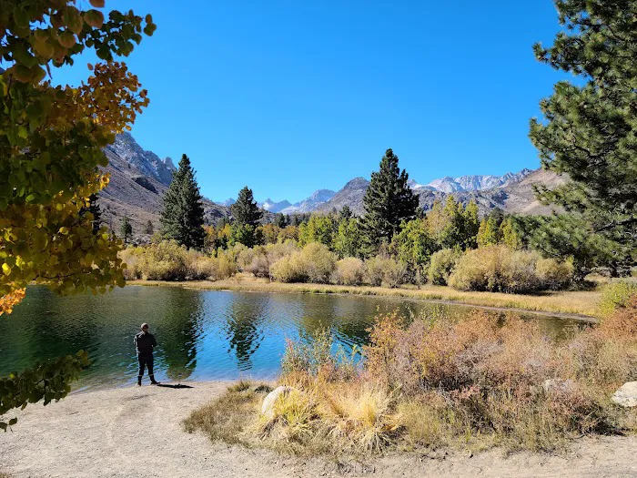 Bishop Park Group Campground Picture 2