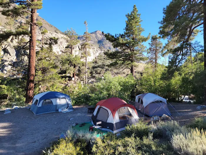 Bishop Park Group Campground Picture 3