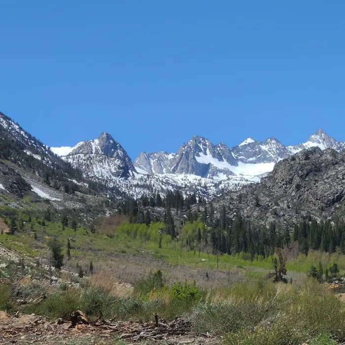 Bishop Park Campground Picture 3