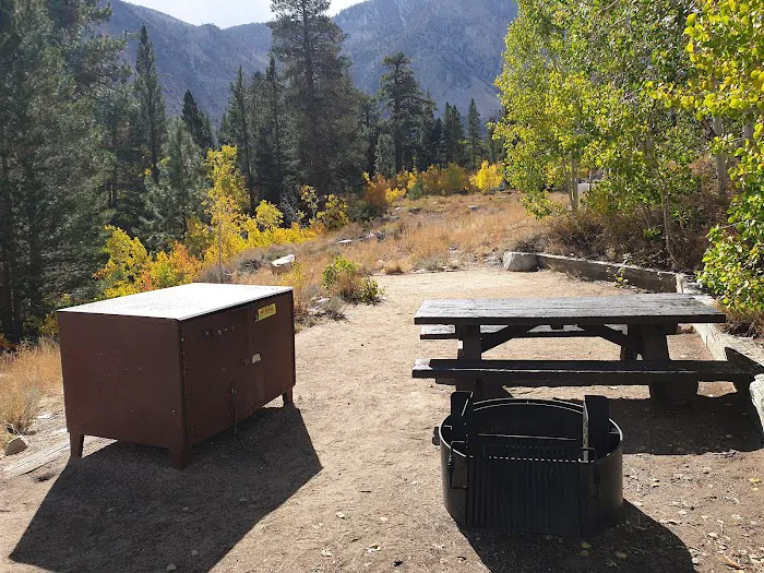 Bishop Park Campground Picture 5