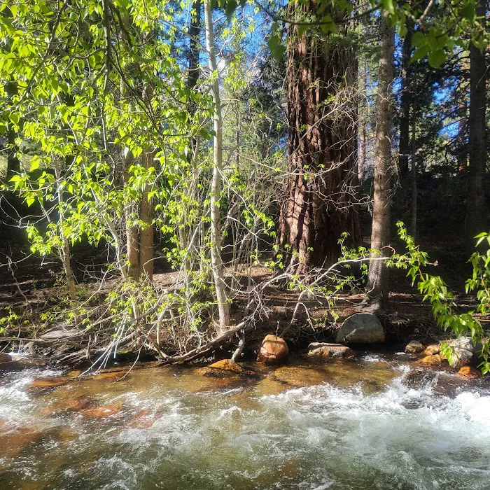 Bishop Park Campground Picture 9