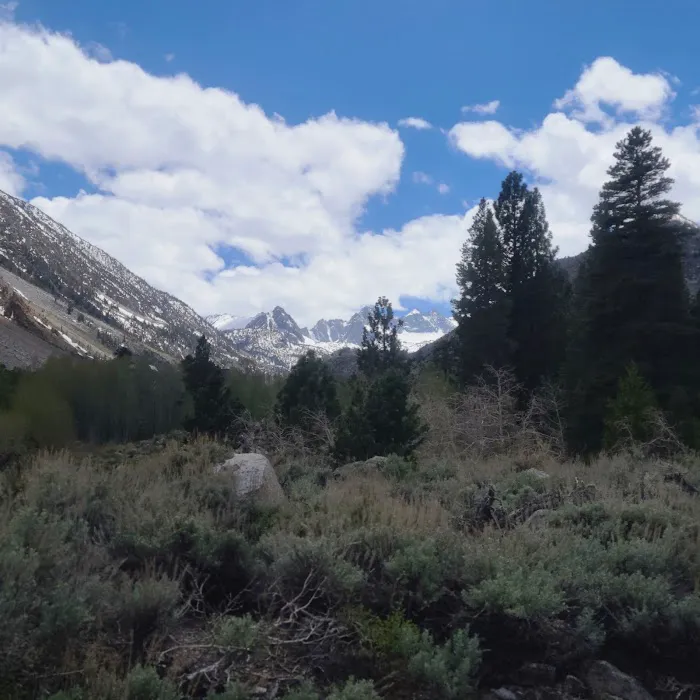 Bishop Park Campground Picture 10