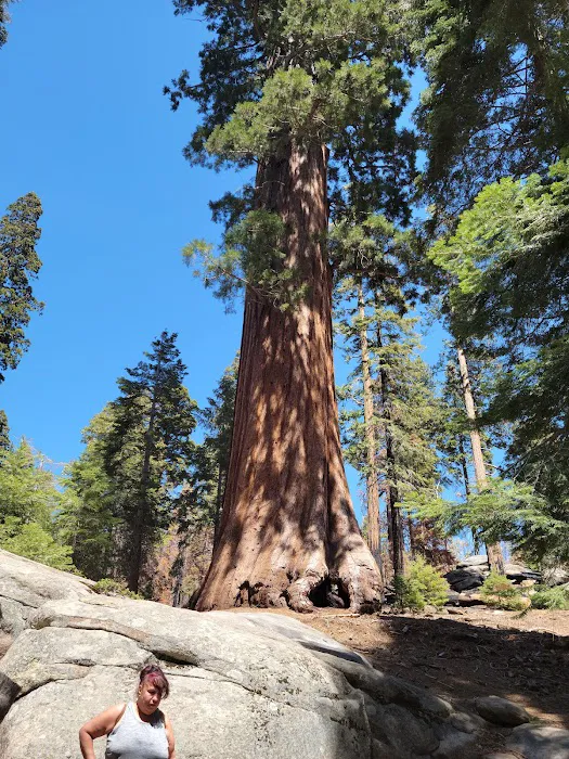 Redwood Meadow Campground Picture 1