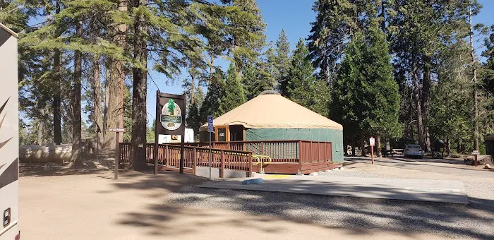 Redwood Meadow Campground Picture 3