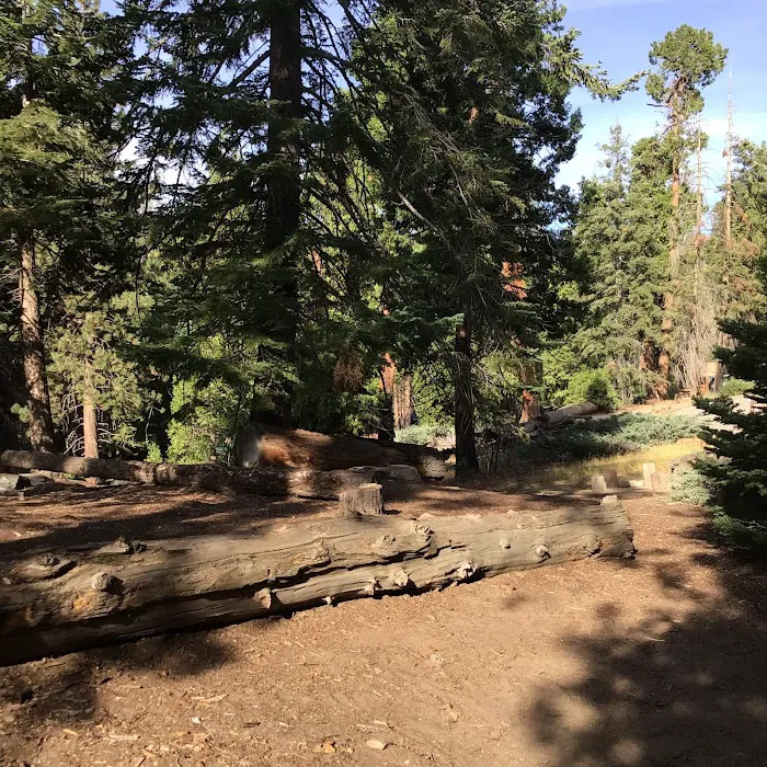 Redwood Meadow Campground Picture 6