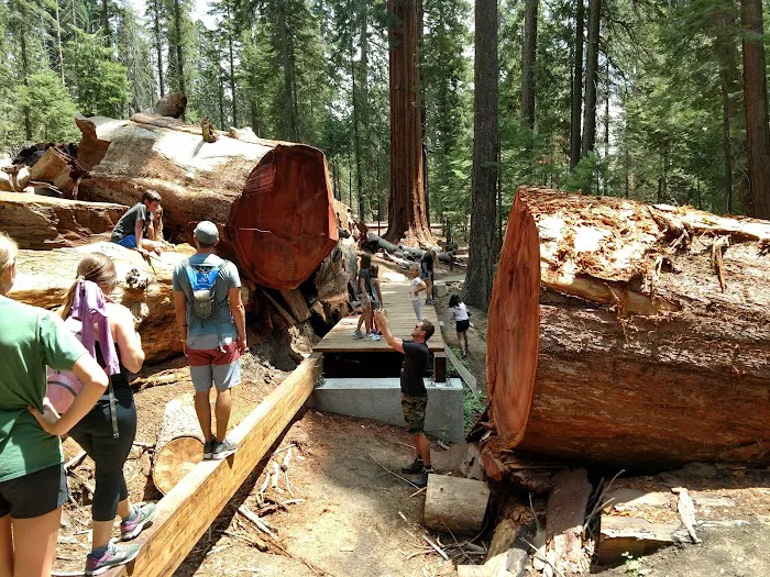 Redwood Meadow Campground Picture 8