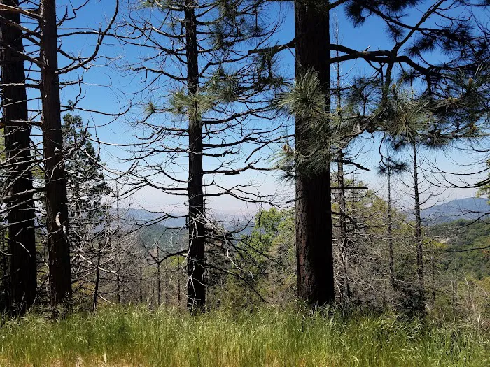 Long Meadow Group Campground Picture 3