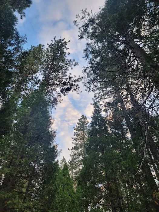 Long Meadow Group Campground Picture 5