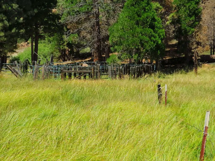 Long Meadow Group Campground Picture 6