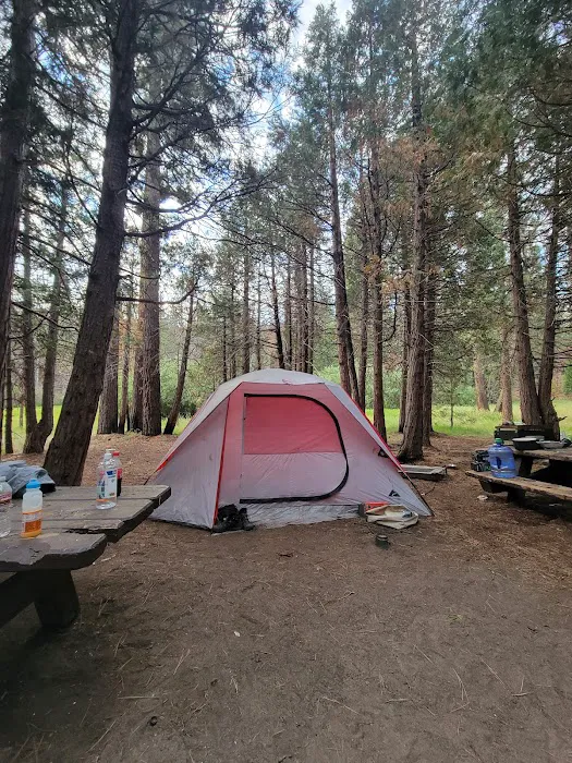 Long Meadow Group Campground Picture 9