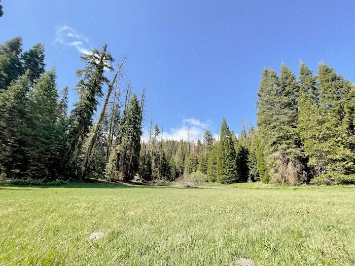 Holey Meadow (recgovnpsdata) Picture 1