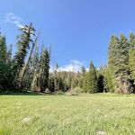 Holey Meadow (recgovnpsdata)