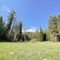 Holey Meadow (recgovnpsdata) ico