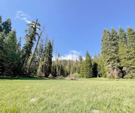 Holey Meadow (recgovnpsdata)