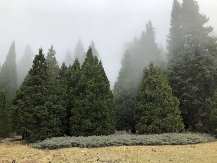Holey Meadow (recgovnpsdata) Picture 6