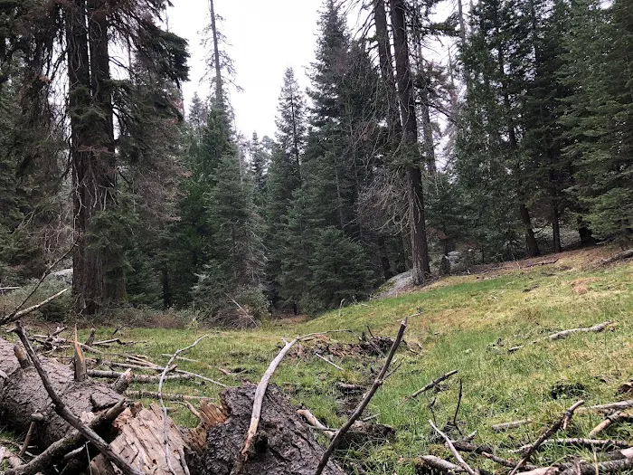 Holey Meadow (recgovnpsdata) Picture 5