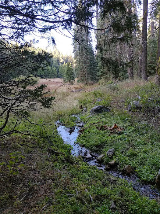Holey Meadow (recgovnpsdata) Picture 4