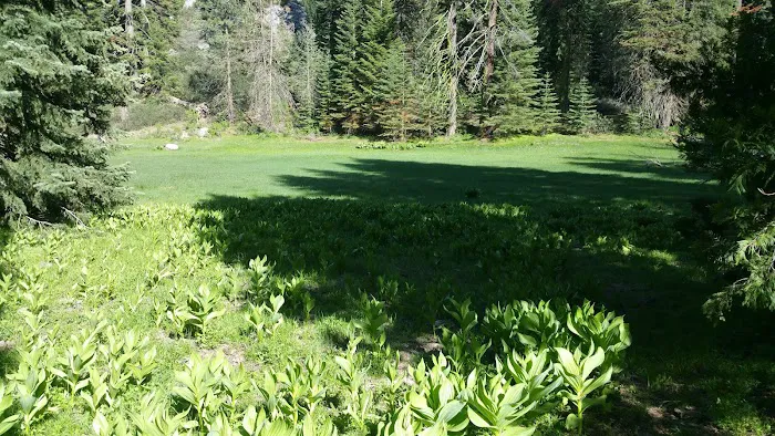 Holey Meadow (recgovnpsdata) Picture 9
