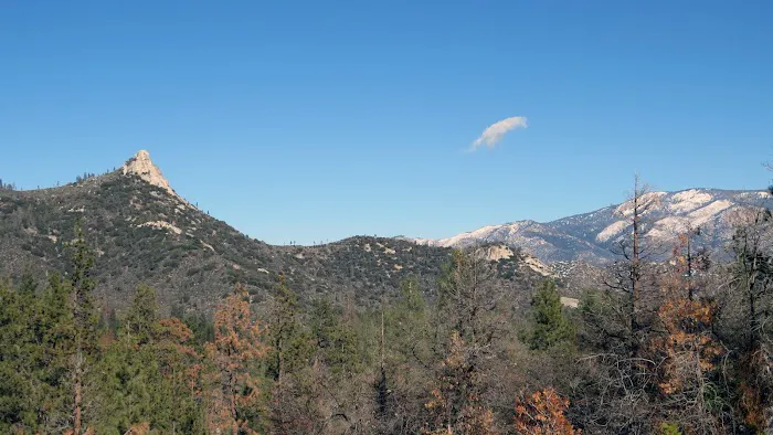 Brush Creek Picture 7