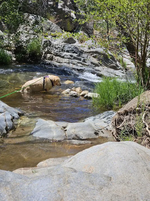 Brush Creek Campground Picture 5