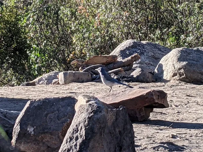 Brush Creek Campground Picture 4