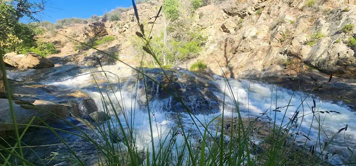 Brush Creek Campground Picture 9