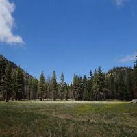 Willow Meadows Campground ico