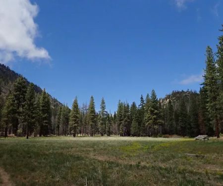 Willow Meadows Campground