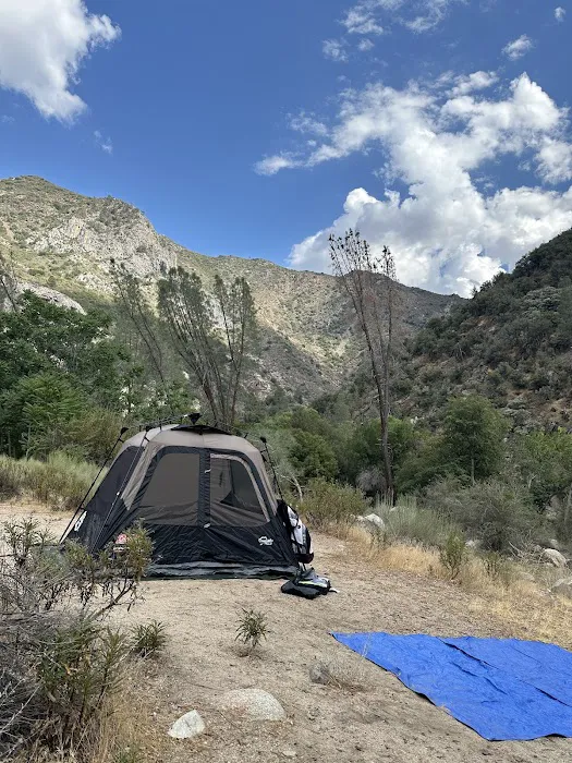 Limestone Campground Picture 7