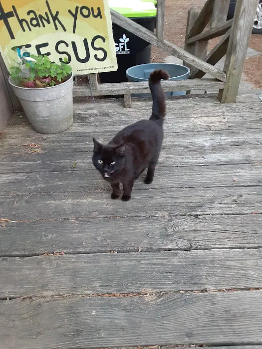 Country Squire Mobile Estates Picture 2