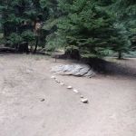 Lower Tent Meadow camp sites