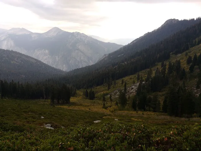 Upper Tent Meadow campsite Picture 1