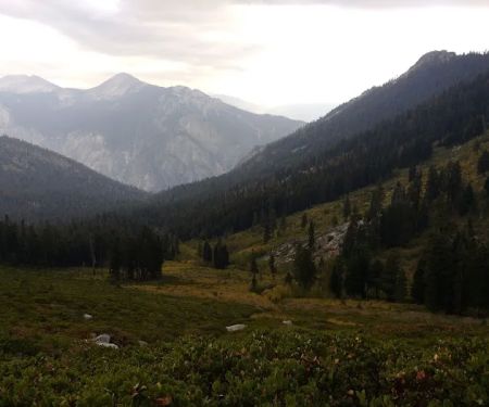 Upper Tent Meadow campsite