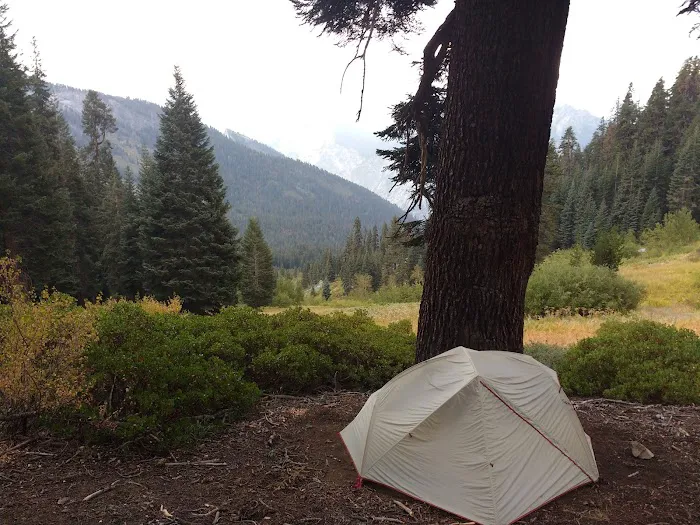 Upper Tent Meadow campsite Picture 2